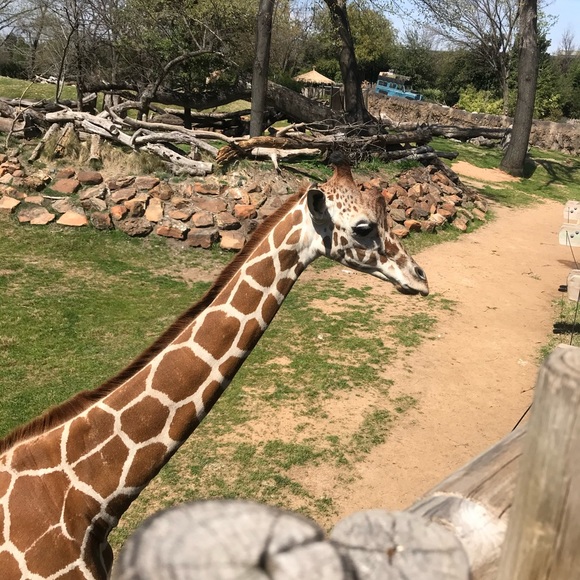 Meet your Posher, - Picture 11 of 16